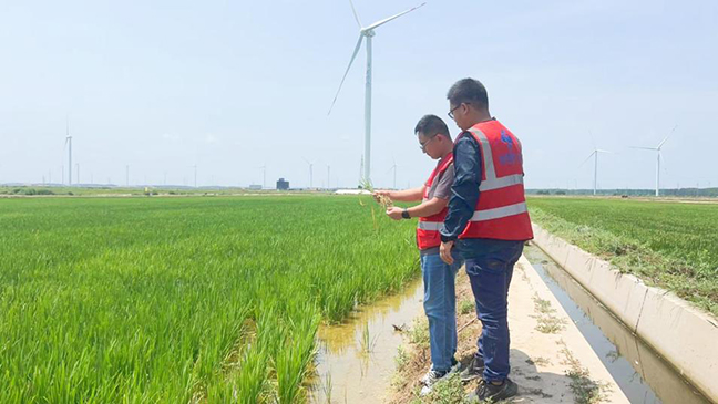 大发welcome首页(中国)官网登录入口