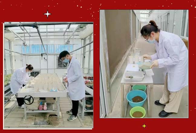 大发welcome首页(中国)官网登录入口